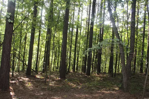 000 Greta Rd, Clinton, AR 72031 photo 13