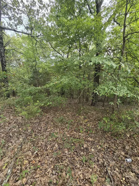 125 Starlight Ln, Romance, AR 72136 photo 48