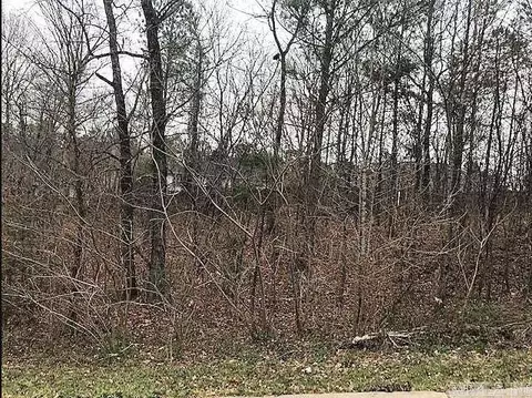2512 Volcanic Dr, Benton, AR 72019