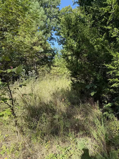 1213 Ridge Cir, Horseshoe Bend, AR 72512