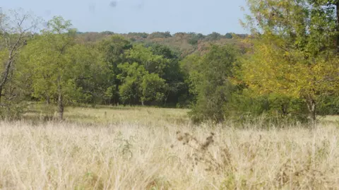 tbd Shiloh Rd, Ash Flat, AR 72513