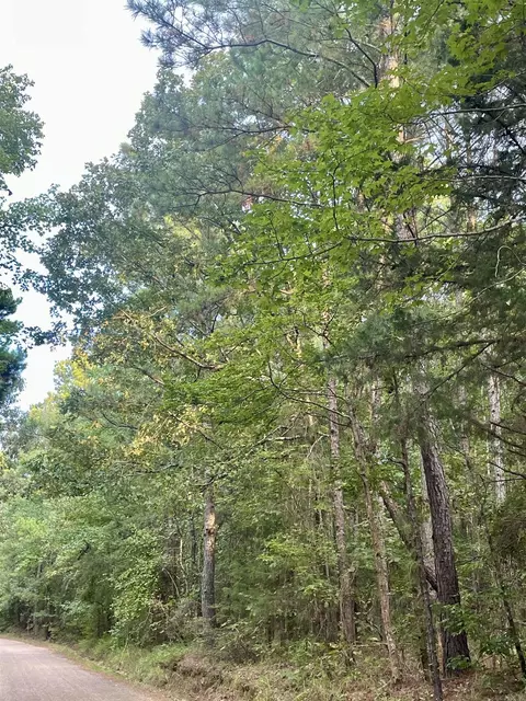 tbd Miller County 32, Doddridge, AR 71834