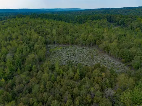 000 River Way Rd, Pangburn, AR 72121 photo 21