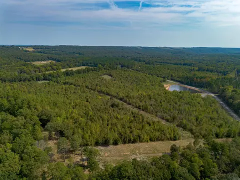000 River Way Rd, Pangburn, AR 72121 photo 20