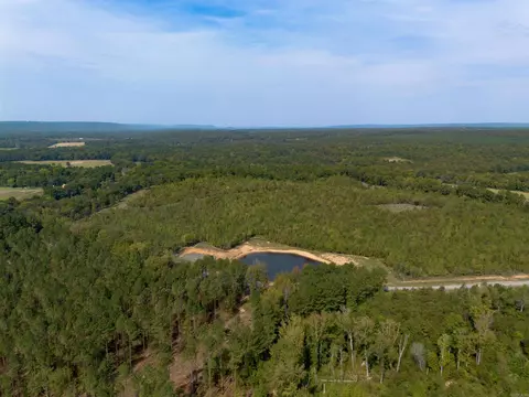 000 River Way Rd, Pangburn, AR 72121 photo 17