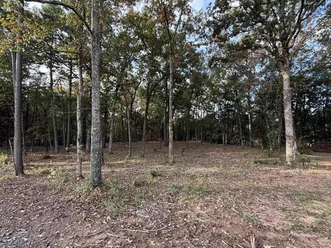 000 River Way Rd, Pangburn, AR 72121 photo 16