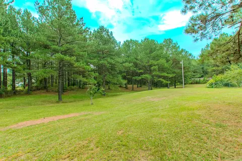 9082 Mars Hill Rd, Bauxite, AR 72011 photo 42