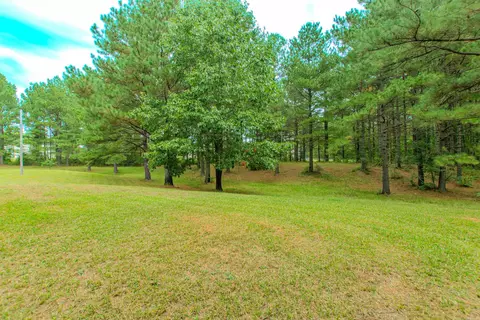 9082 Mars Hill Rd, Bauxite, AR 72011 photo 36