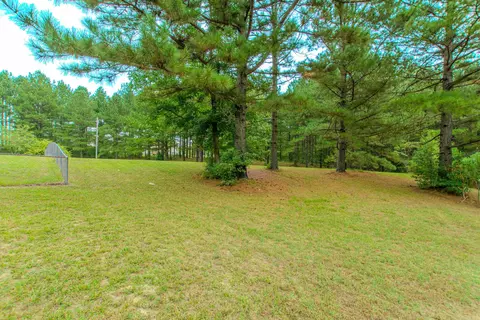 9082 Mars Hill Rd, Bauxite, AR 72011 photo 35