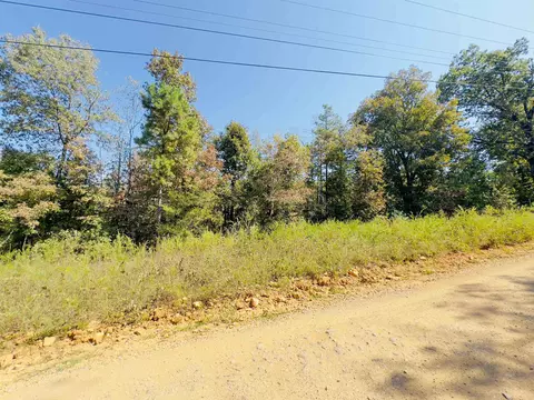 3601 Jumbo Rd, Melbourne, AR 72556 photo 2