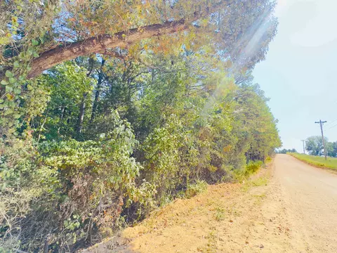 3601 Jumbo Rd, Melbourne, AR 72556 photo 5