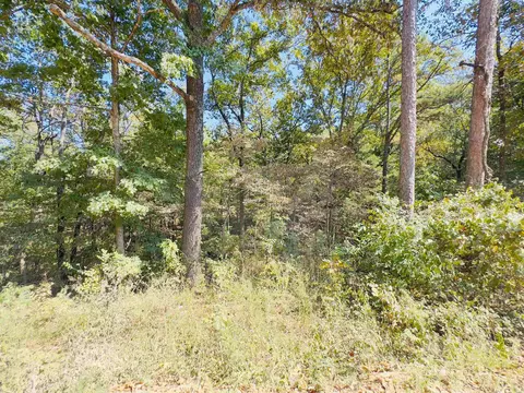 3601 Jumbo Rd, Melbourne, AR 72556 photo 7