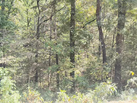 3601 Jumbo Rd, Melbourne, AR 72556 photo 6