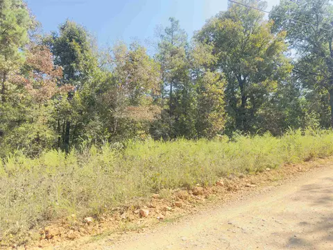 3601 Jumbo Rd, Melbourne, AR 72556 photo 3
