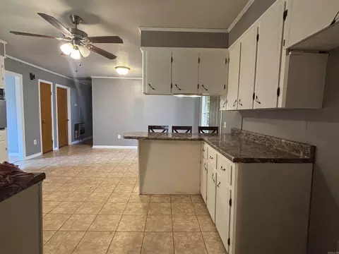 112 E 7th, Newark, AR 72562 photo 8