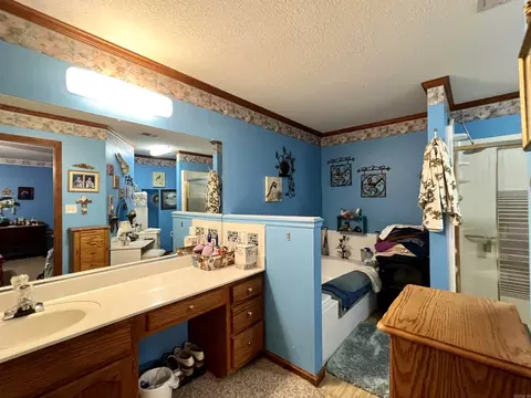 110 Flossie Dr, Trumann, AR 72472 photo 15