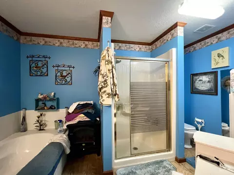 110 Flossie Dr, Trumann, AR 72472 photo 16