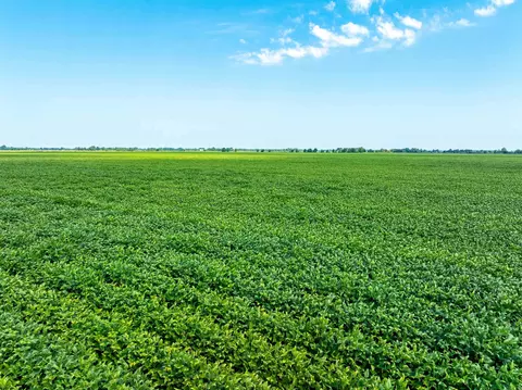 Lawrence 737 And 556, Alicia, AR 72410