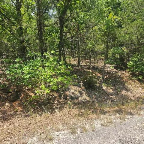 7 Lochloosa Drive # l, Cherokee Village, AR 72529
