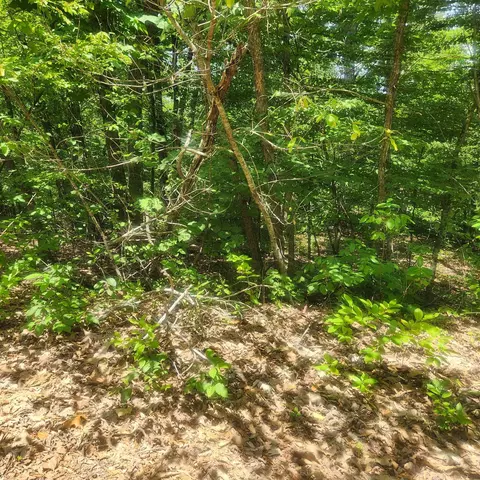 15 Goti Drive # l, Cherokee Village, AR 72529