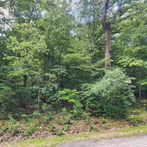 1 Saskatchewan Drive # l 42 b, Cherokee Village, AR 72529