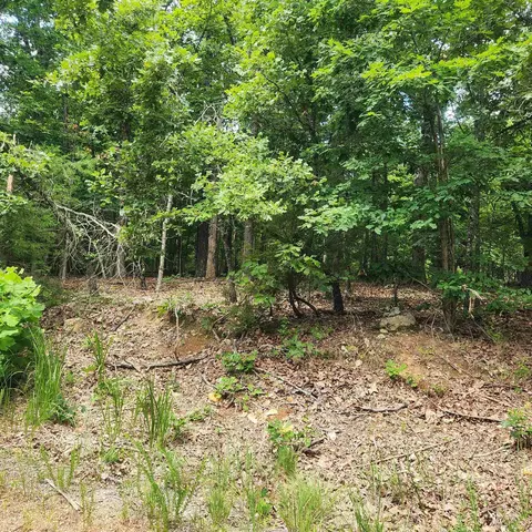 L-60, Cherokee Village, AR 72529