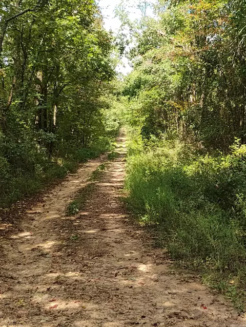 tbd A Polk Road 197, Mena, AR 71953 photo 3