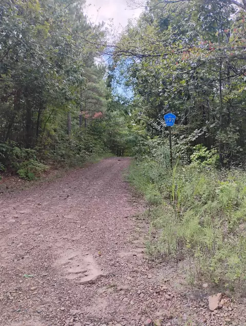 tbd A Polk Road 197, Mena, AR 71953 photo 2