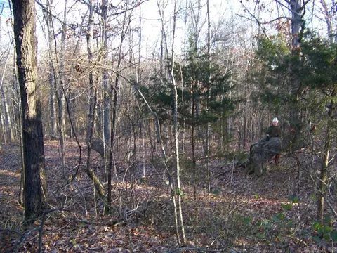 538 Fowler Rd, Maynard, AR 72444 photo 3