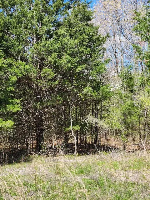 538 Fowler Rd, Maynard, AR 72444 photo 6