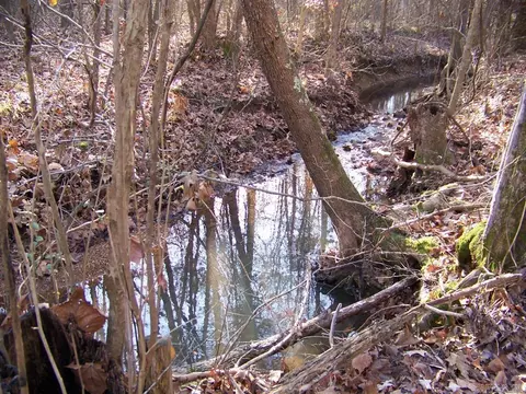 538 Fowler Rd, Maynard, AR 72444 photo 2