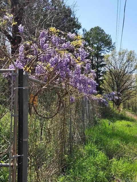538 Fowler Rd, Maynard, AR 72444 photo 7