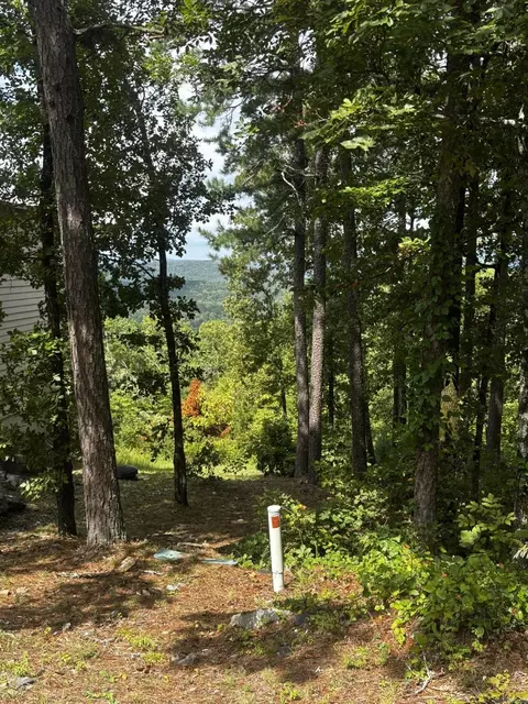 142 E Villena Dr, Hot Springs Village, AR 71909