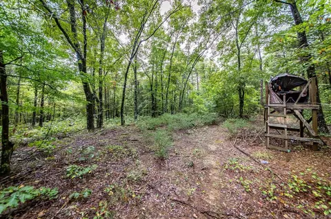 00 Kenton Rd, Clinton, AR 72031 photo 9