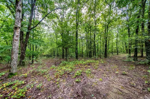 00 Kenton Rd, Clinton, AR 72031 photo 12