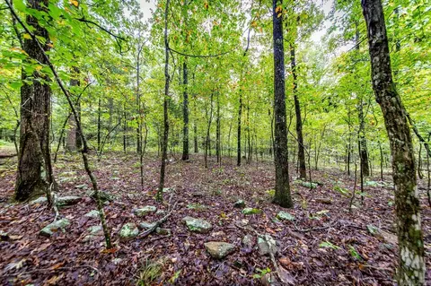 00 Kenton Rd, Clinton, AR 72031 photo 13
