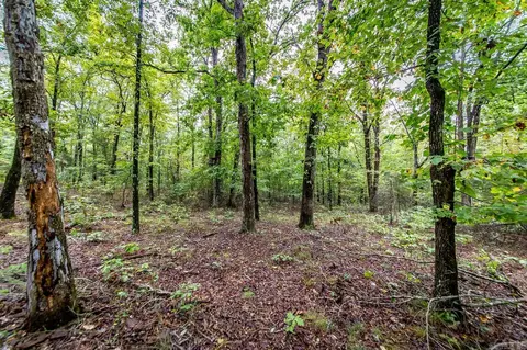 00 Kenton Rd, Clinton, AR 72031 photo 6