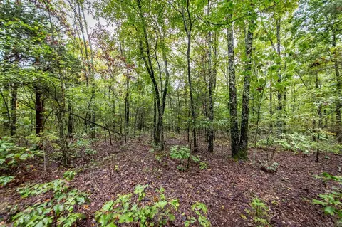 00 Kenton Rd, Clinton, AR 72031 photo 8
