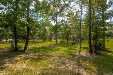 1115 Brookhaven Ct, Alexander, AR 72002 photo 43