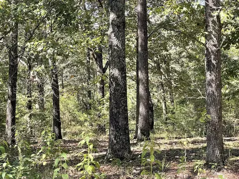 Other - 690 N Copperhead Rd, Franklin, AR 72536 photo 4 of 11