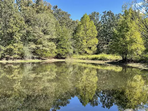 View/Area - 690 N Copperhead Rd, Franklin, AR 72536 photo 1 of 4