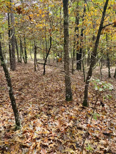 150 Lofton Rd, Calico Rock, AR 72519