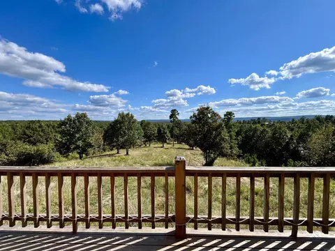 250 Deitrick Dr, Mountain View, AR 72560 photo 28
