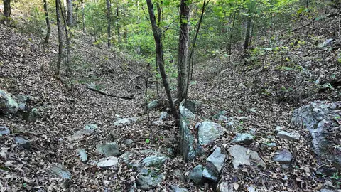 1272 Dwelle Rd, Norfork, AR 72658 photo 39