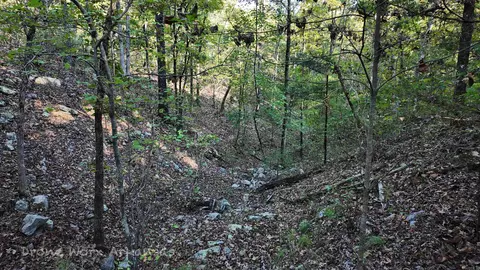 1272 Dwelle Rd, Norfork, AR 72658 photo 38