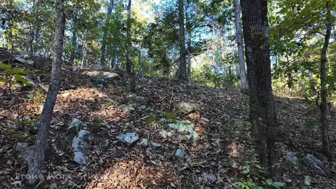 1272 Dwelle Rd, Norfork, AR 72658 photo 40