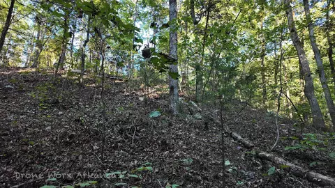 1272 Dwelle Rd, Norfork, AR 72658 photo 43