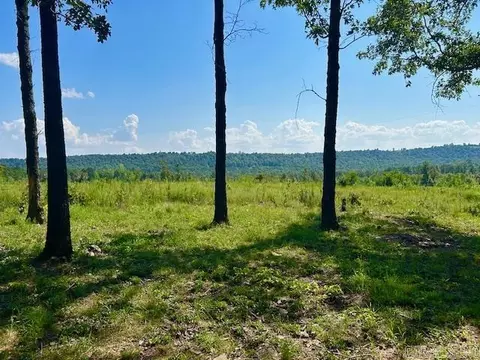 1334 Sutterfield Rd, Fox, AR 72051 photo 31