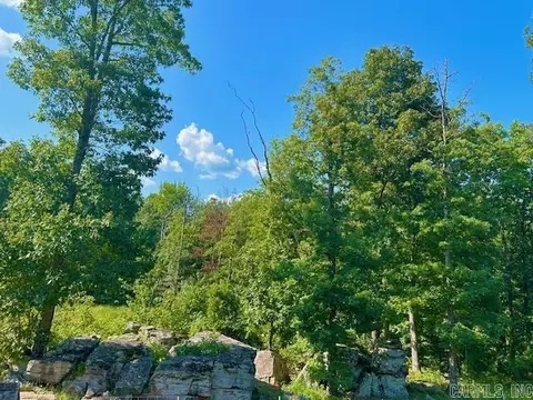 1334 Sutterfield Rd, Fox, AR 72051 photo 28