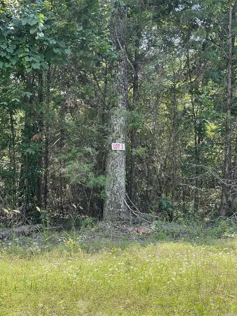 lot3 Pleasant Ridge Rd, Greers Ferry, AR 72067
